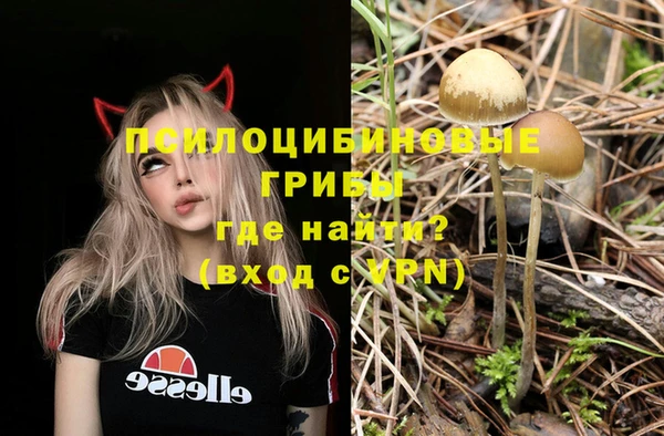бутират Алексеевка