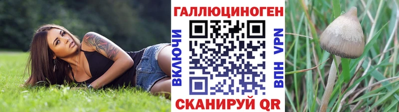 продажа наркотиков гидра Псилоцибиновые грибы мухоморы Енисейск
